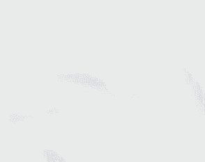  gif我什么都没做,你什么都没看到