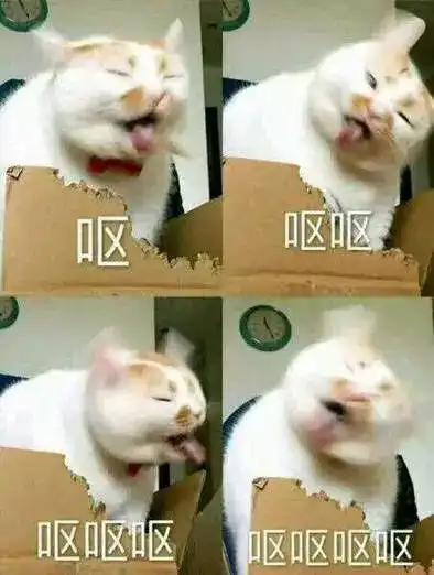 请您表情包骑手