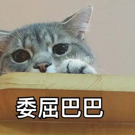 表示好奇的可爱表情包委