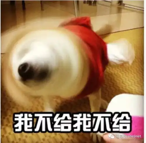 当你女朋友不讲道理时的样子