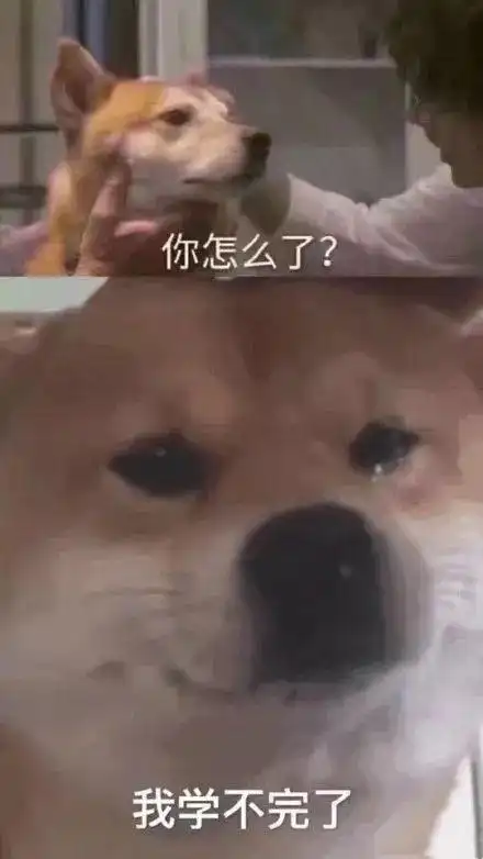  那些自嘲柠檬精的年轻人,都在酸些什么