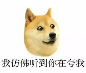 熬夜刷抖音表情包狗狗