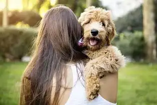  狗狗为啥老舔嘴是因为你不高兴啊