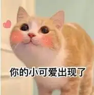  阅读量超过了一个亿留学生瞒着父母偷偷回国,爸妈的表情亮了...
