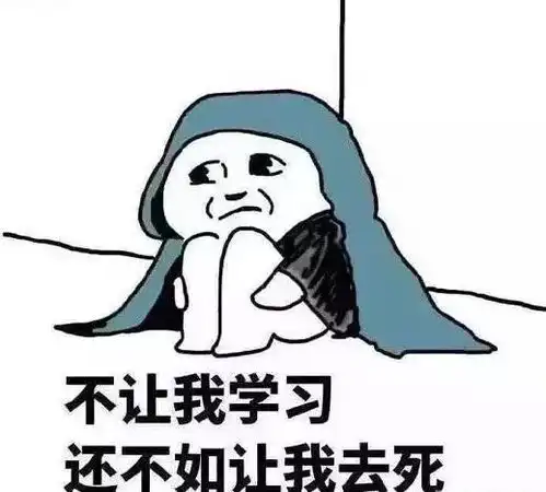  学霸神奇的物种,要玩耍