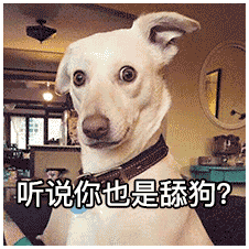  你知道哪些著名的舔狗