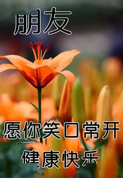  周末,送你最漂亮早上好动态表情图片大全,早晨好动图美图大全