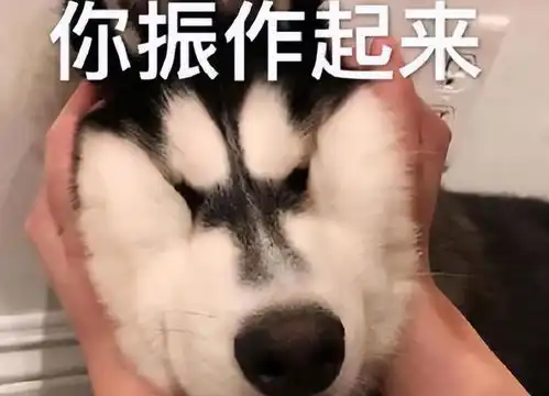  00后霸气炒老板,因缺席加班会议被通报,工作群回怼无理老板