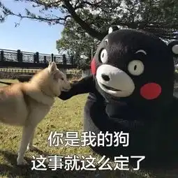  锤爷大料