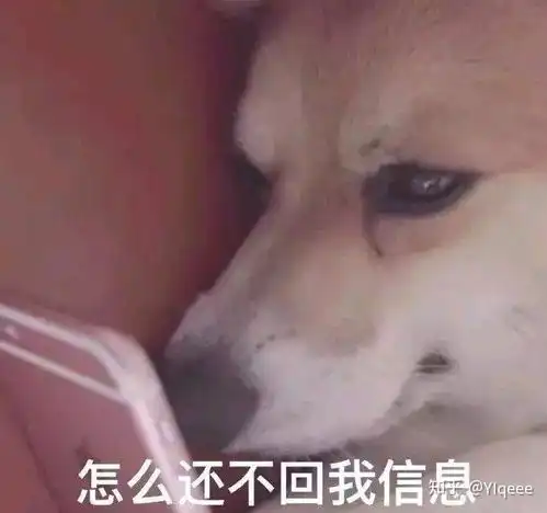 舔狗图片表情包刘波