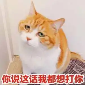 小哈皮表情包小皮球