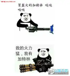  冒蓝火的加特林哒哒哒表情包