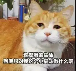  吃鸡不懂这些车,别说自已是老司机