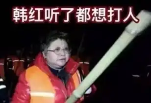 我不喜欢女人表情包韩红