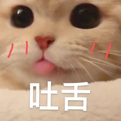  20082012年间小学定的漫画杂志连载,故事背景是...