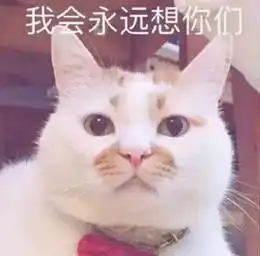  吸猫需谨慎男子被猫抓伤,数月后脑萎缩死亡...猫挠狂犬病