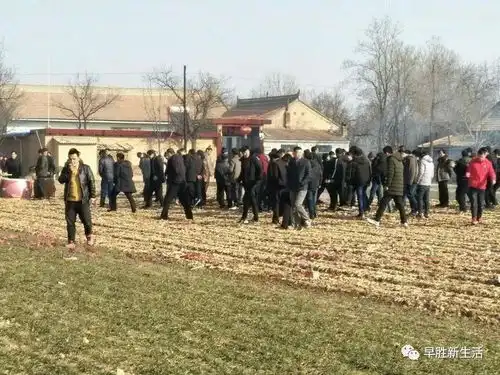  早胜大年初一出行活动,敲锣打鼓热闹非凡