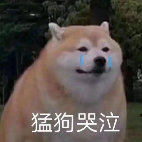  在zyz很久了,说说心里话吧