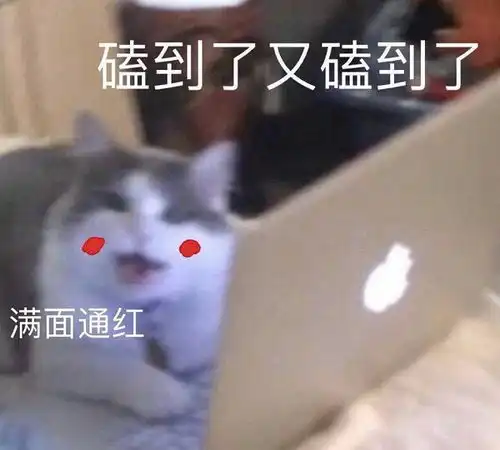 磕cp表情包博君一笑沙雕