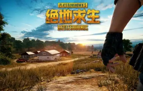  吃鸡比赛规则