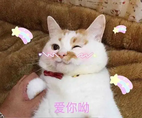  表情楼楼去世了,我们还要不要用它的表情包尤可的回答表情