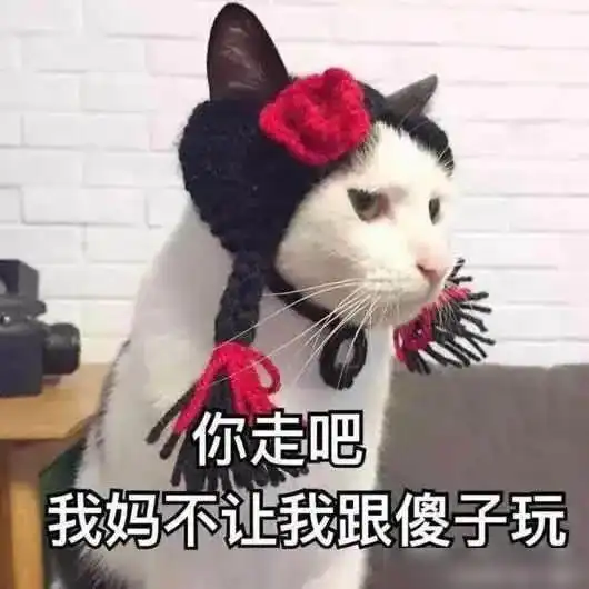  这种夹带私货的追星方式,你哥你姐不需要