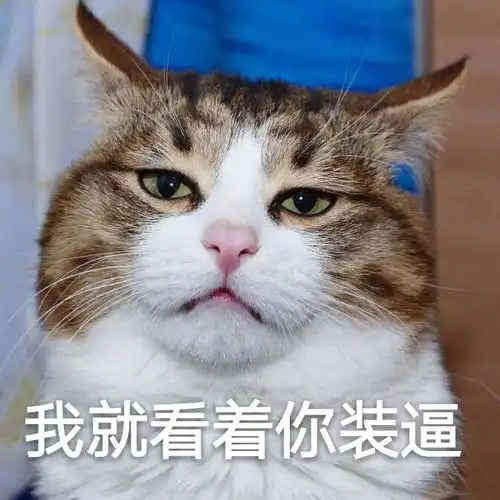  搞笑gif趣图这耳朵厉害了啊竟然可以打结