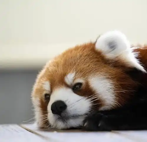  这是一个水贴