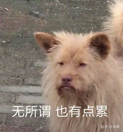 谢谢的可爱表情包啾咪
