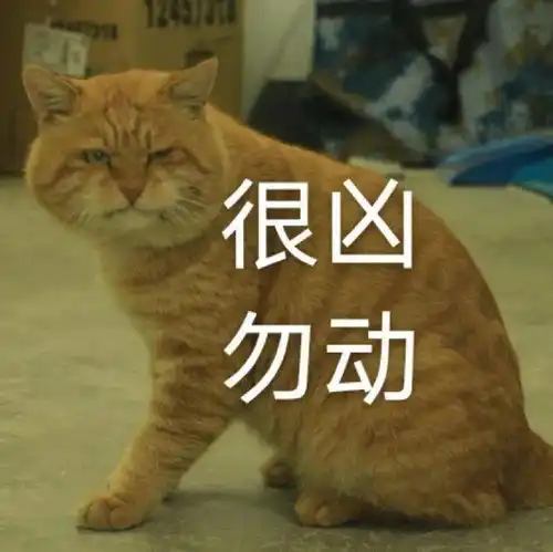  宿霸橘座保研财大公寓,是我喵生的坚持文末表情包暴击