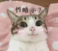  是时候说说表情包的江湖地位了