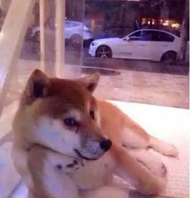  每日一笑儿子和侄子吵架,儿子就说就凭我妈是你爸的大姨子