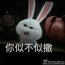  求电影爱宠大机密里,那只兔子的表情包