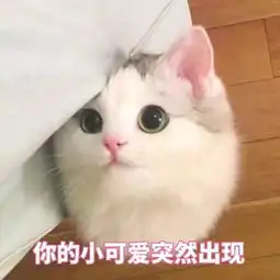  神探苍扒瓜报考电竞专业糊弄谁呢期末考试试卷题目过时错误一大堆