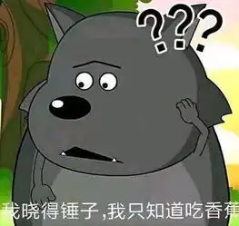  ig新中单一战成名,却因长得像焦太郎,被edg女粉丝骂哭