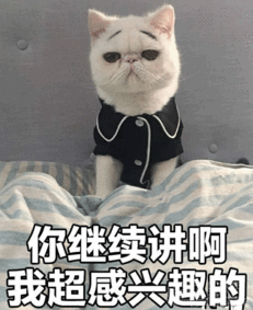猫咪开心表情包翻到