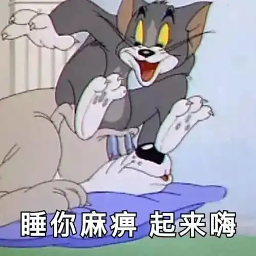 猫和老鼠瞌睡的表情