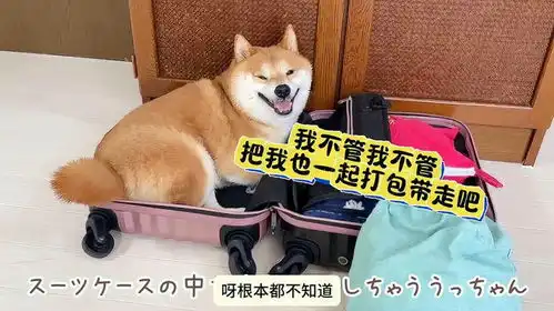  得知主人要出远门,狗狗竟然说啥都不让主人走下一秒笑得人肚疼