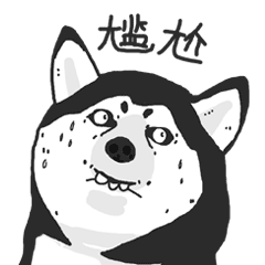  疯狂皮皮哈表情包