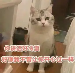  超皮的聊天表情你讲话好冷漠,好像我不曾让你开心过一样