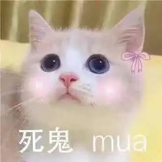  我的收藏夹