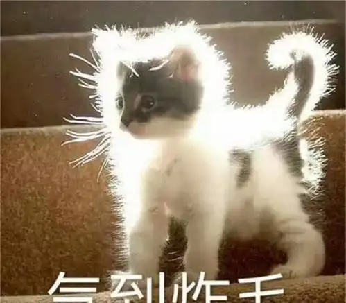  表情包熊猫头医生说我有低血糖,需要听几句甜言蜜语的话