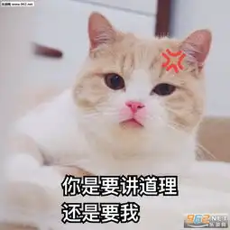  没眼看表情包图片360度害羞表情包图片下载乐游网游戏下载