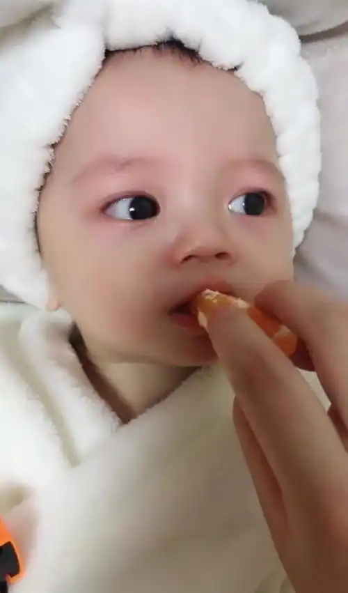  看我吃也想吃,又怕酸吃一点点味道还没出来,表情就开始嫌弃了