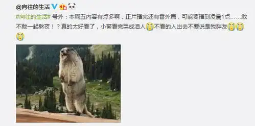  表情向往3今晚加更,黄磊不做饭彭昱畅反点菜,何炅表情亮了表情