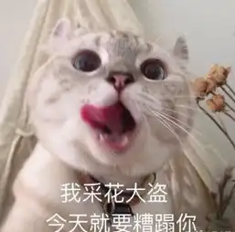  吃土系年轻人环游世界指南