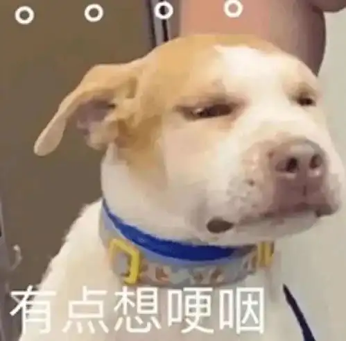 舔狗图片表情包空中