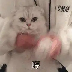  牙组第一届三行诗大赛