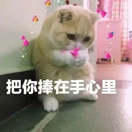 撩女友表情包清空