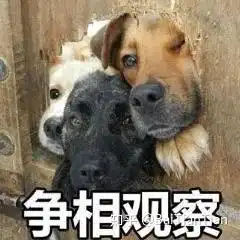  转发了条微博,也能被骂上热搜姜思达